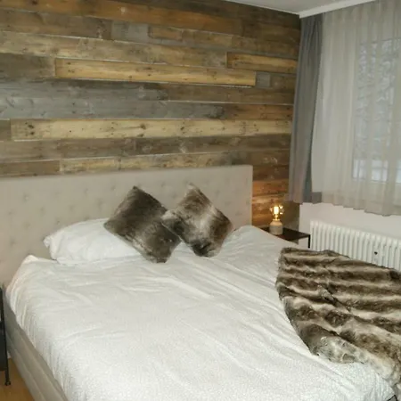Sauerlander Mountain Lounge Daire *